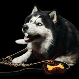 Freak on a Leash x Ashton Michael Planchette Plushie