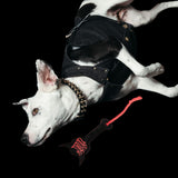 Freak on a Leash x Ashton Michael Leather Rope Toy