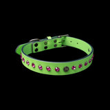 Green with Pink Stones Leather Collar