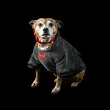 Freak on a Leash Vintage Dog Hoodie