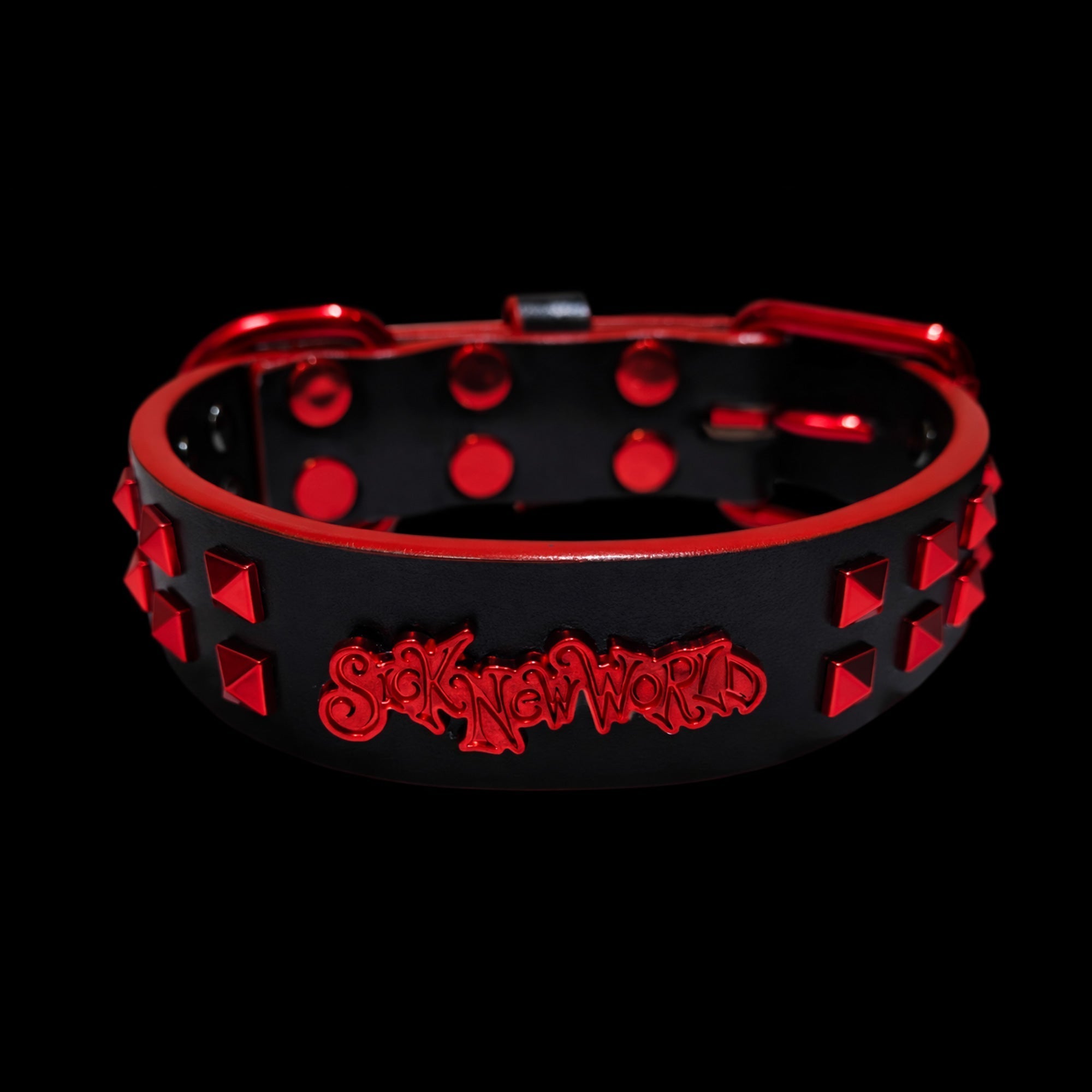 Collar with Spikes for Large Dogs: Sizing, Styles, and What to Buy