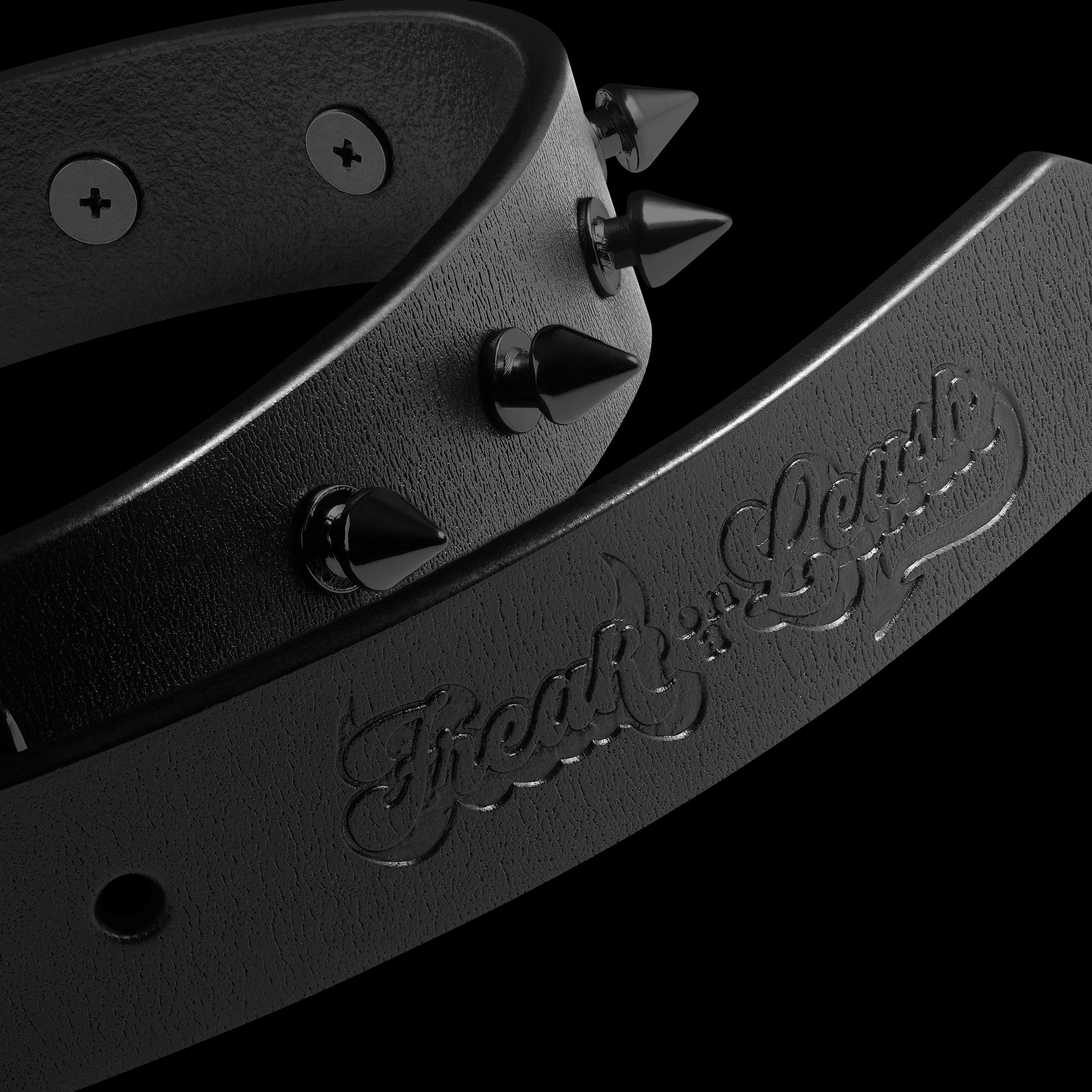 Black leather spike collar with Freak On a Leash branded buckle on a dark background