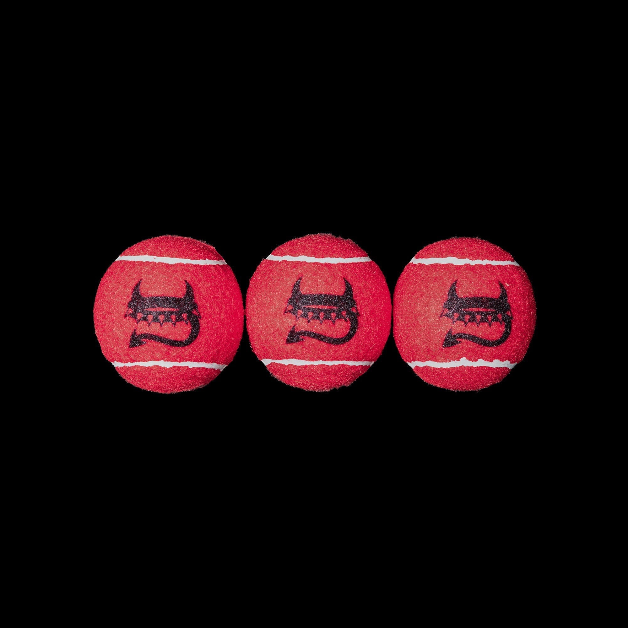 Designer Dog Chew Toys That Last