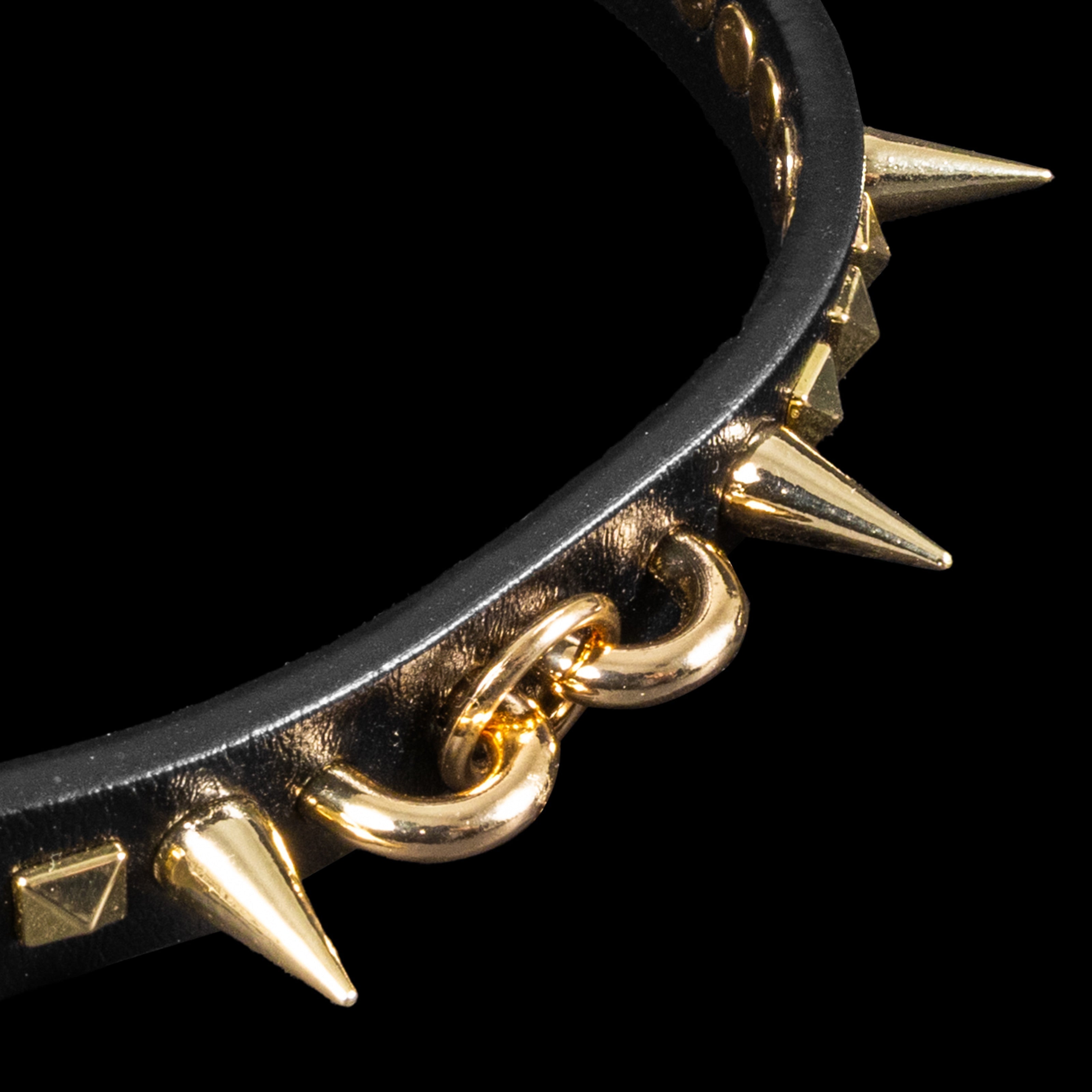 Premium Spiked Dog Accessories: What to Look For