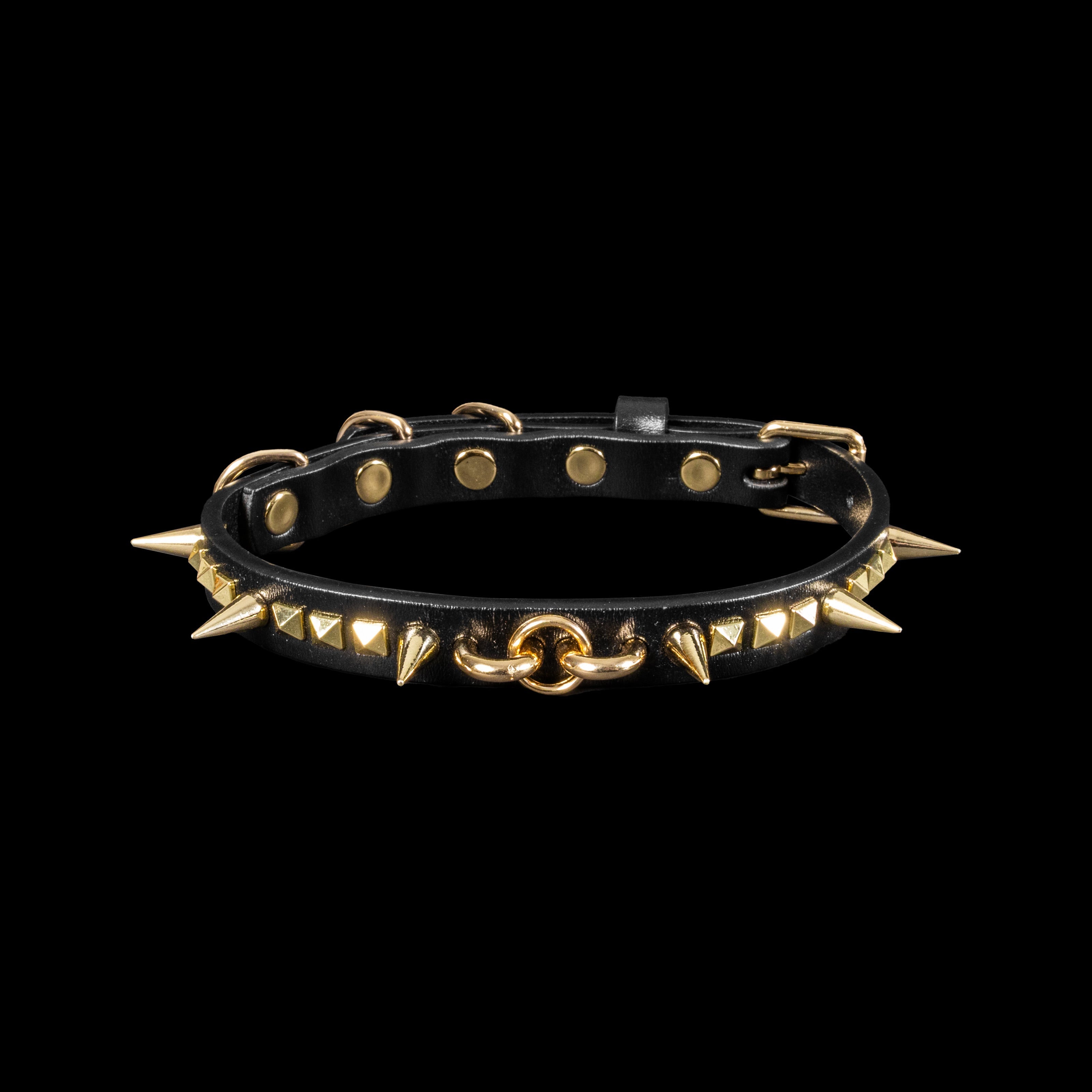 Spiked Leather Dog Collar Styles for Rock Pets