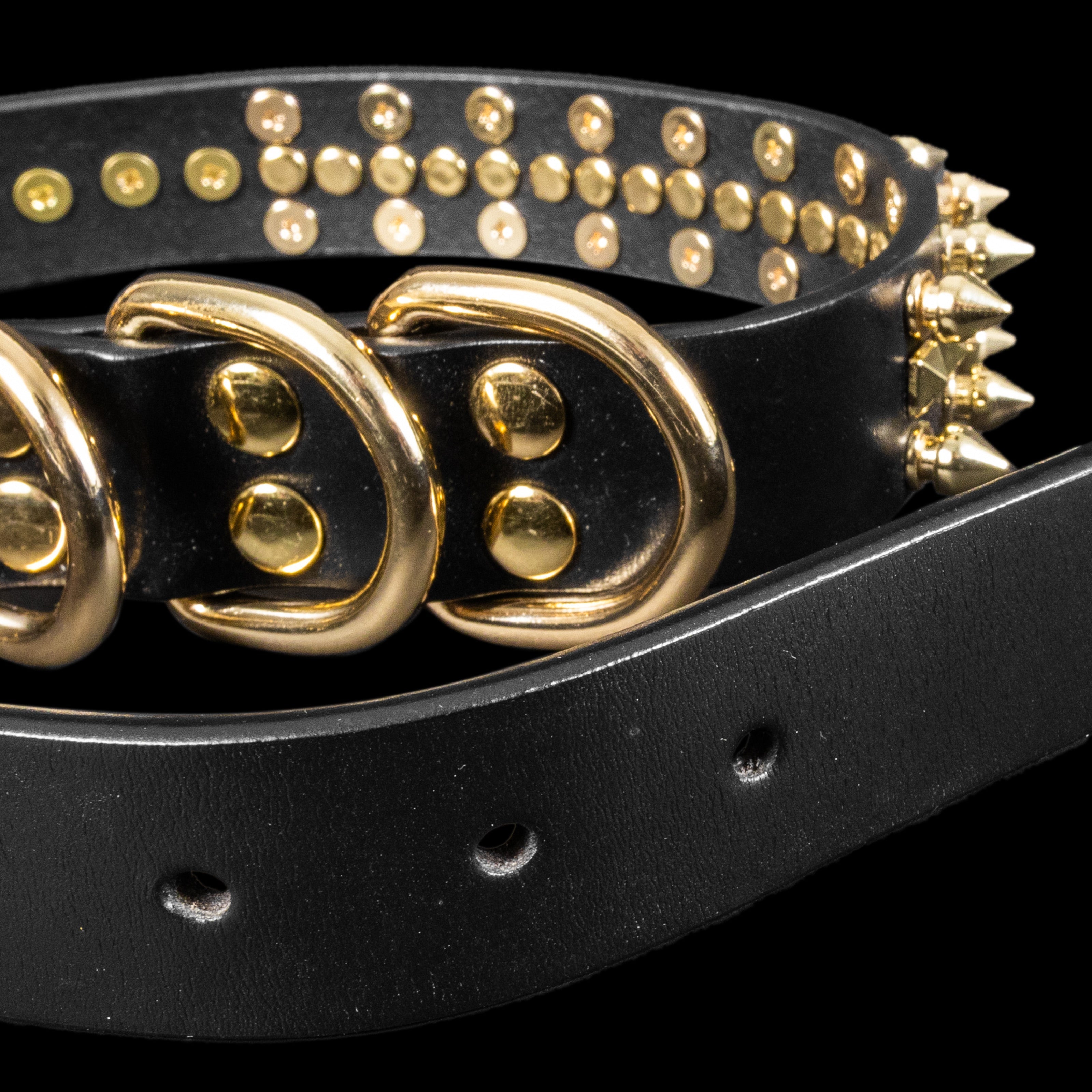 Black leather dog collar with gold studs, spikes, and D-ring hardware