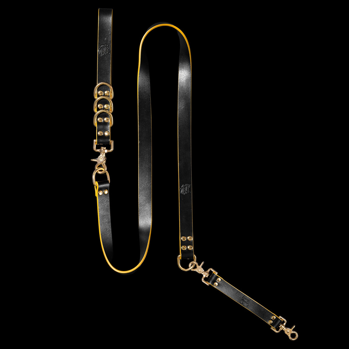 The Best Leather Dog Leash for Modern Walks