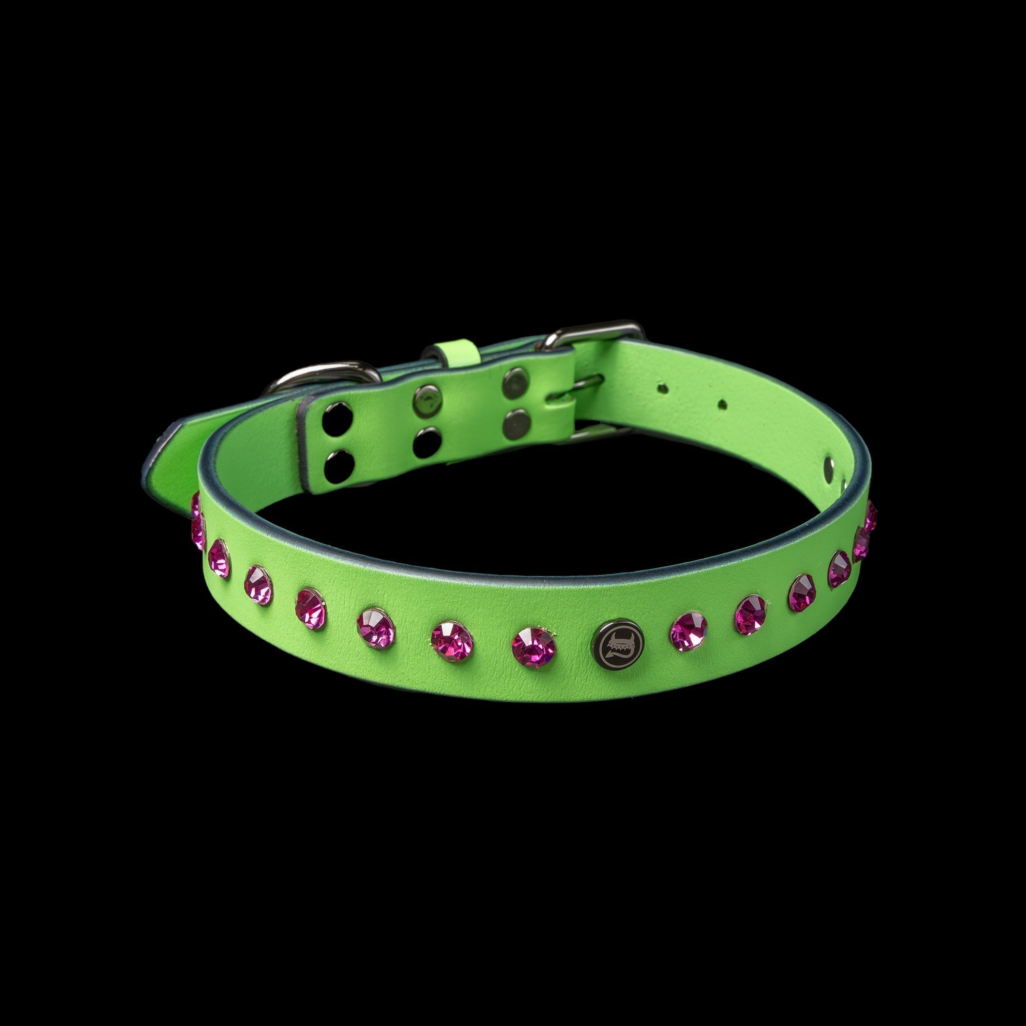 Best Spiked Collars for Small Dogs
