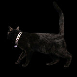 Leather Lilac Studded Cat Collar
