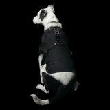 Freak on a Leash x Ashton Michael Leather Strap Denim Dog Vest