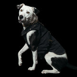 Freak on a Leash x Ashton Michael Leather Strap Denim Dog Vest