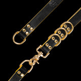 Freak on a Leash x Ashton Michael Black and Gold Leather Leash