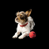 Crimson Throwing Balls (3-Pack)