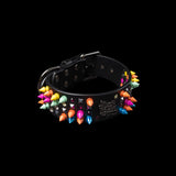 Special Edition Spikes and Stones Leather Collar