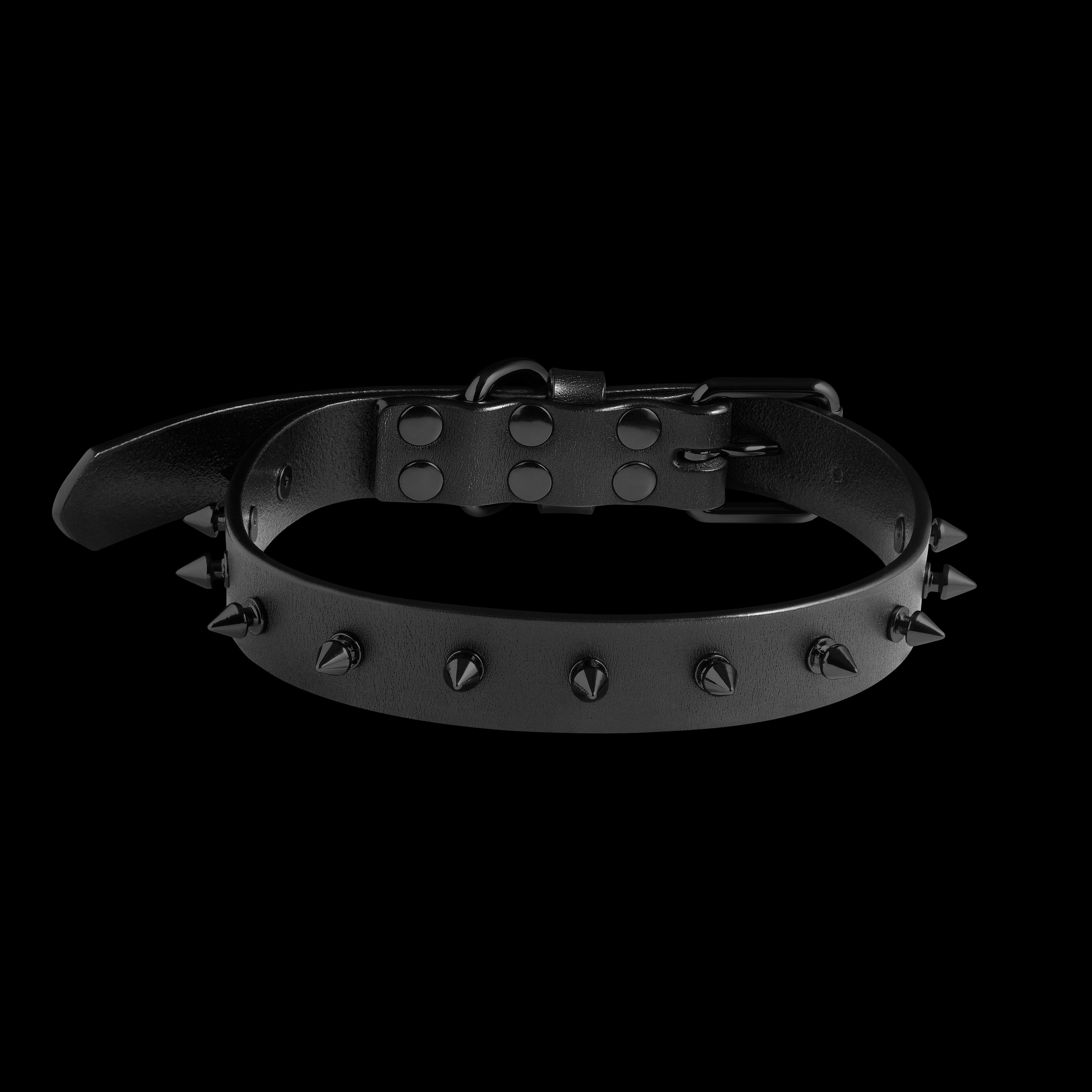 Foal Leather Spike Collar. Size Large.