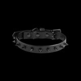 Foal Leather Spike Collar. Size Medium.