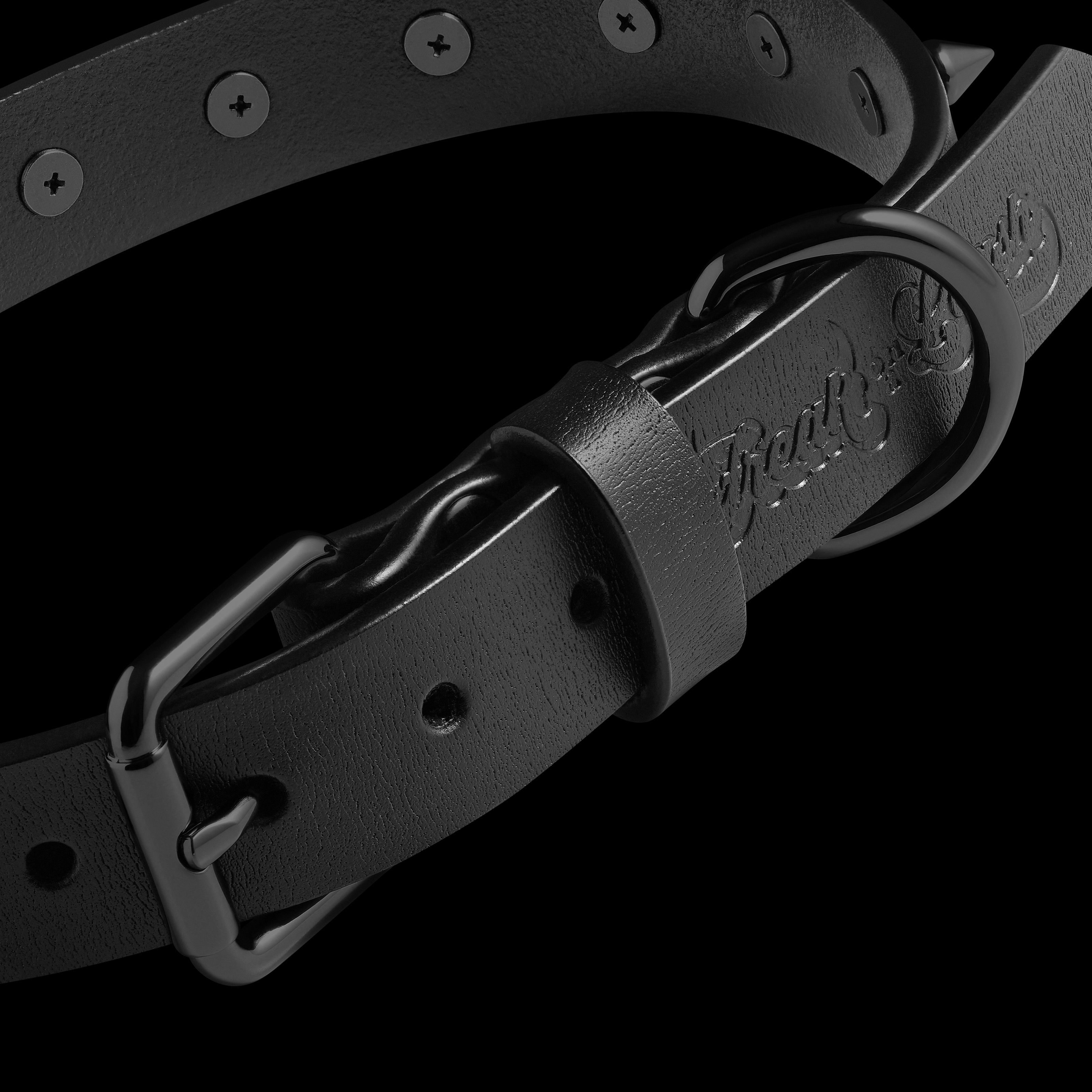Foal Leather Spike Collar. Detail 2.