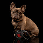 Foal Retractable Leash with frenchie